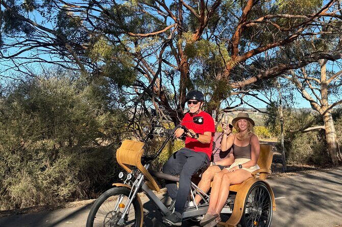 eTukTuk Adventure from Shirvington Wines - McLaren Vale - The Sum Up: Who Will Love This Tour?