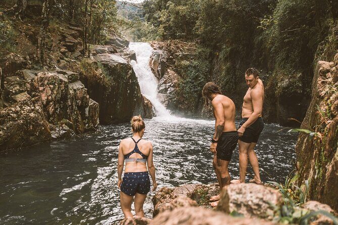 Eungella Platypus Tour - A Detailed Look at the Eungella Platypus Tour