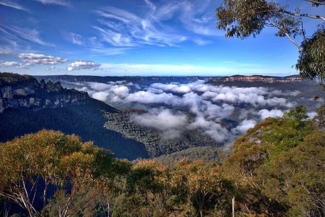 Eungella Platypus Tour - Is This Tour for You?
