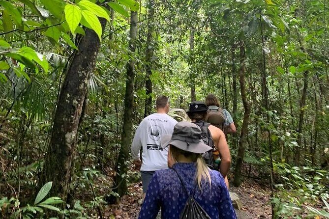 Eungella Platypus Tour - Final Thoughts
