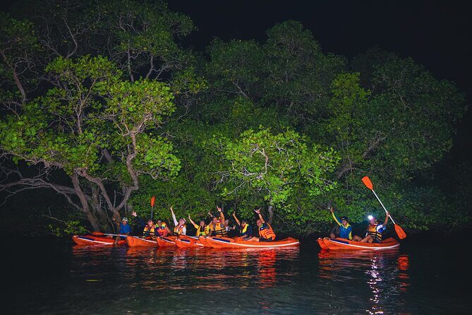 Evening Bali Mangrove Canoe Tour - FAQ