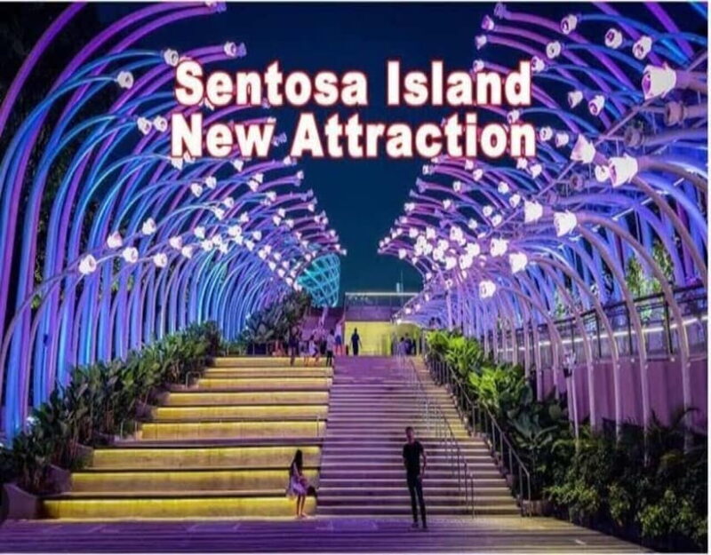 Evening Escape: Cruise, Sentosa Sensoryscape & Wings of Time - Value and Overall Impression
