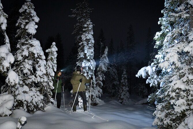 Evening Ski Trek to the Wilderness - Extra Small group - An Authentic Night Ski Adventure Outside Rovaniemi