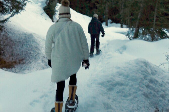 Evening Snowshoeing / Cross-country skiing Experience - Vancouvers Winter Wonderland: An Evening Snowshoeing or Cross-country Skiing Tour
