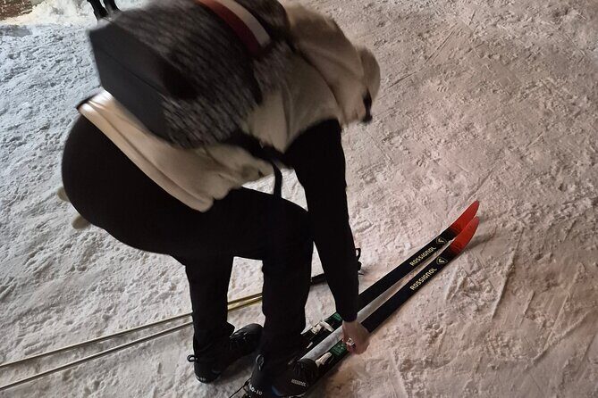 Evening Snowshoeing / Cross-country skiing Experience - Detailed Review: What You Need to Know