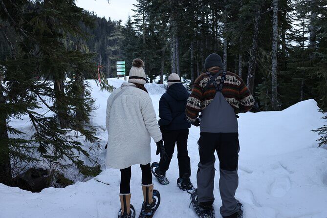 Evening Snowshoeing / Cross-country skiing Experience - The Sum Up: Who Will Love This Experience?