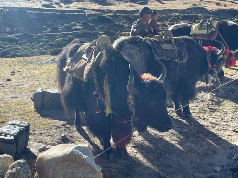 Everest Base Camp Trek - 6N/7D - Key Points