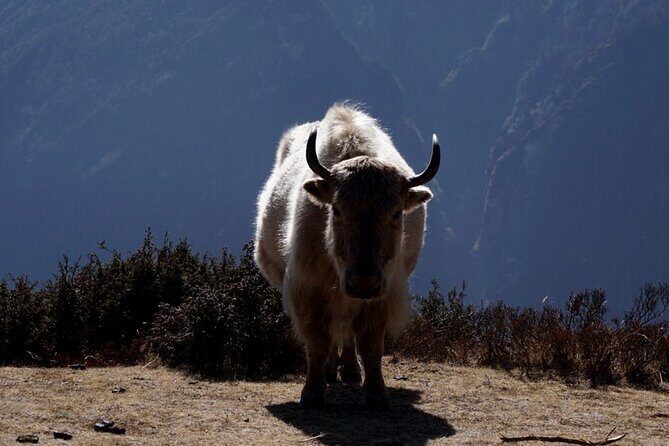 Everest Base Camp Trekking - 2025/2026 - Final Thoughts