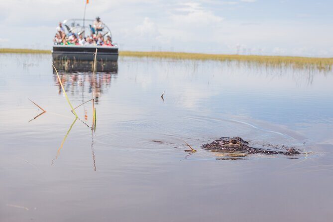 Everglades Admission Ticket with Airboat Ride and Wildlife Show - Reviews and Real Experiences