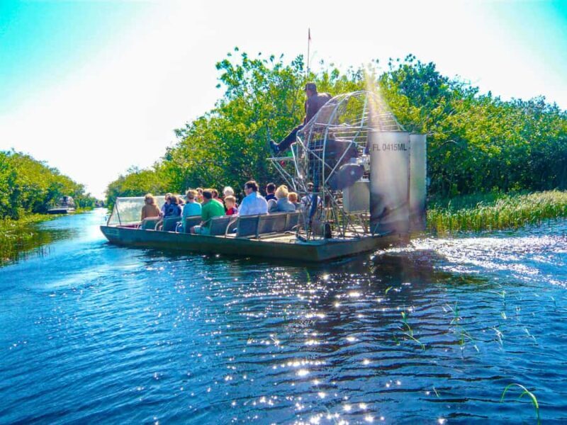 Everglades Airboat Tour from Miami w/ Park Entry & Transport - Everglades Airboat Tour from Miami w/ Park Entry & Transport: A Balanced Look