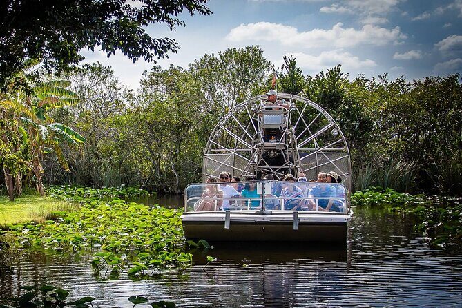 Everglades Alligator Airboat Adventure from Miami - Key Points