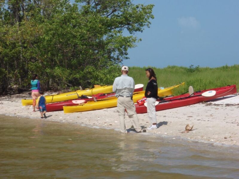 Everglades: Boat Assisted Kayak Eco Tour - Key Points