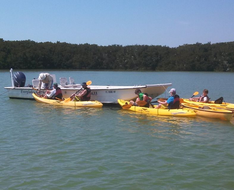 Everglades: Boat Assisted Kayak Eco Tour - Exploring the Everglades: What to Expect on This Eco Tour