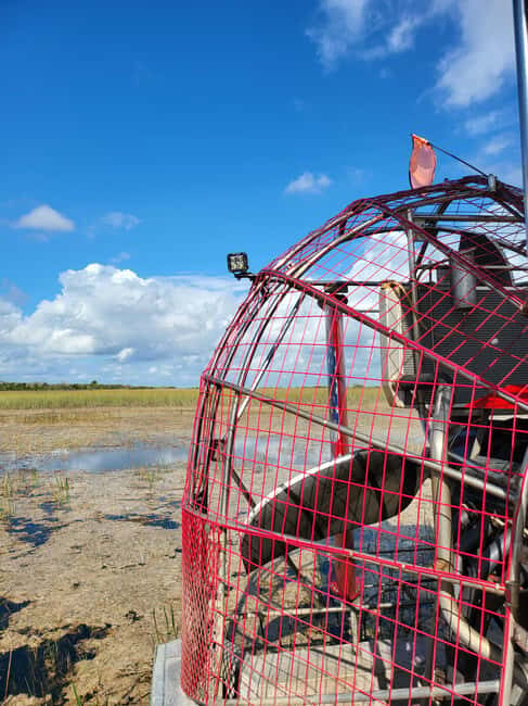 Everglades: boat tour with transportation& entrance included - FAQs