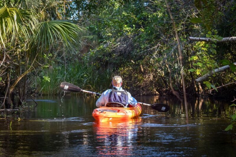 Everglades City: Guided Kayaking Tour and Airboat Ride - An In-Depth Look at the Tour Experience