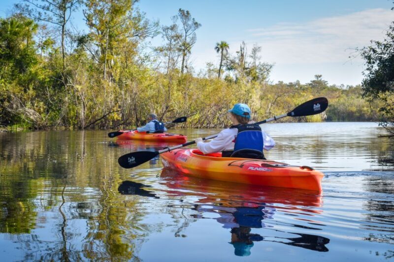 Everglades City: Guided Kayaking Tour of the Wetlands - Exploring the Experience in Detail