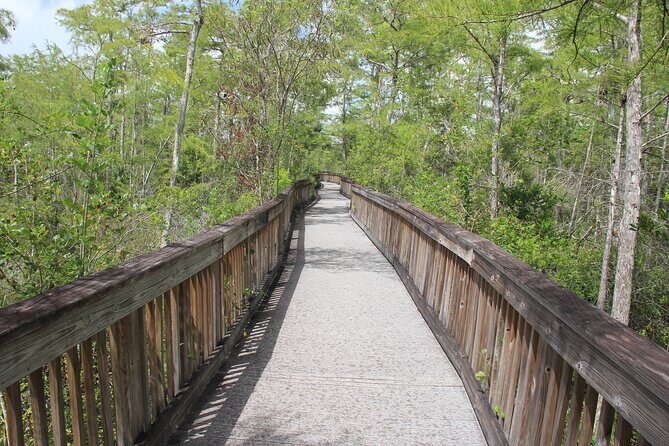 Everglades Day Safari from Miami - Who Should Consider This Tour?