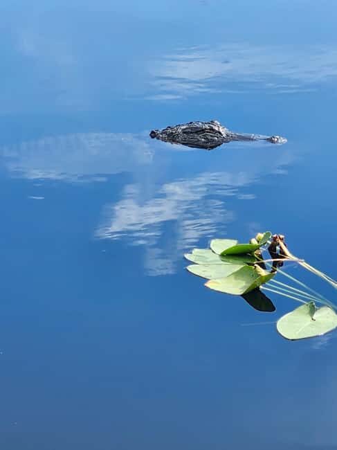 Everglades Eco Airboat Tour small group & top transportation - The Itinerary in Detail: What to Expect