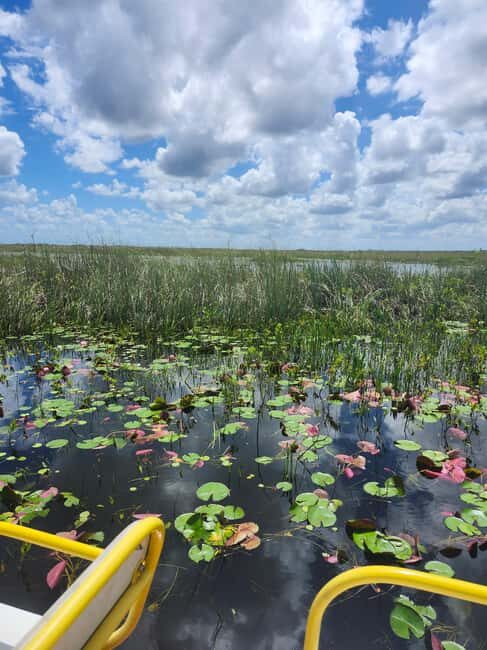 Everglades Eco Airboat Tour small group & top transportation - Who is this tour best suited for?