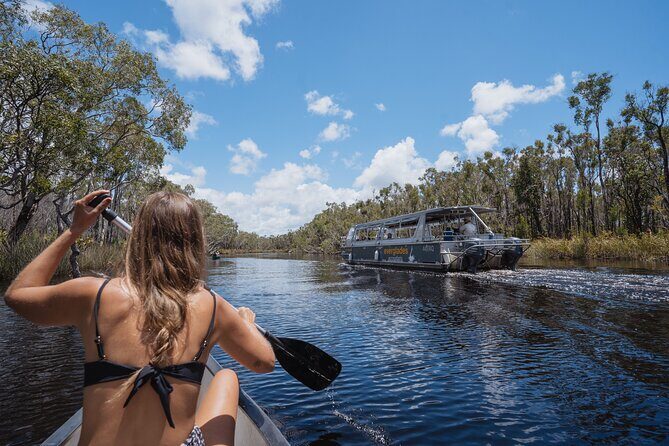 Everglades Explorer - Noosa Everglades Tour - In-Depth Look at the Noosa Everglades Tour