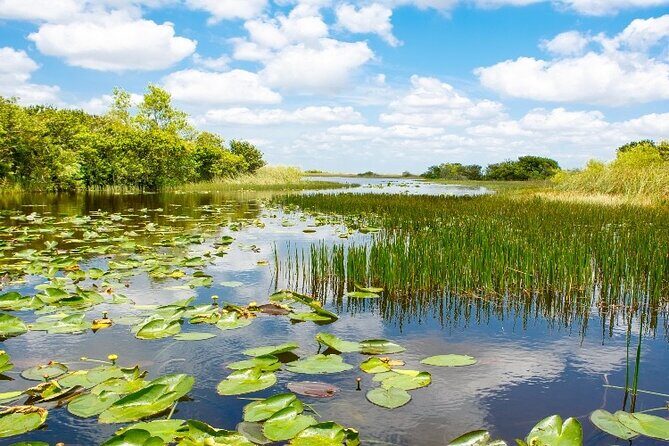 Everglades Express Small Group Tour from Miami with Airboat Ride - Frequently Asked Questions