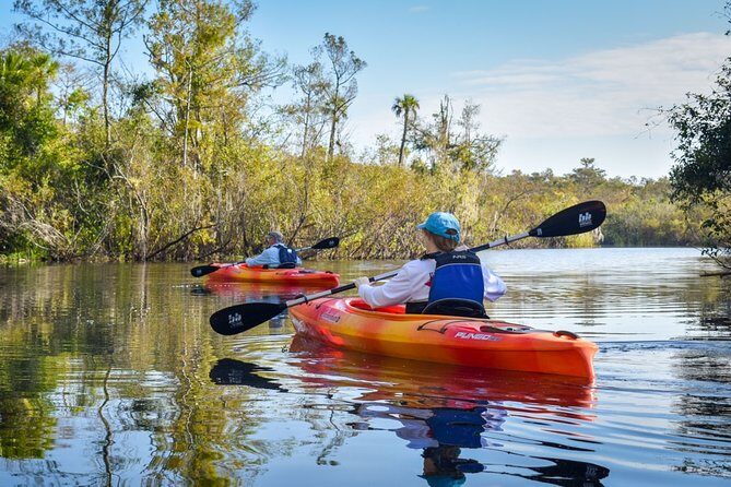 Everglades Guided Kayak Tour - Key Points