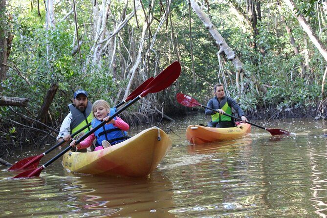 Everglades Kayak & Canoe Rentals - Exploring the Everglades by Kayak and Canoe: What to Expect