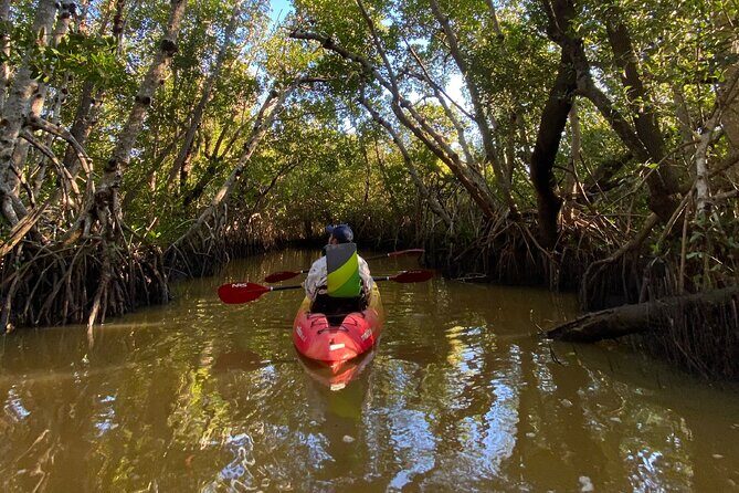 Everglades Kayak & Canoe Rentals - Is It Worth the Price?