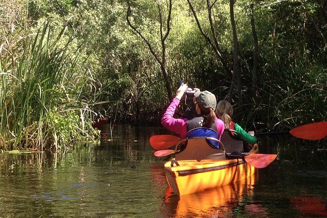 Everglades Kayak Safari Adventure Through Mangrove Tunnels - A Deep Dive into the Everglades Kayak Safari