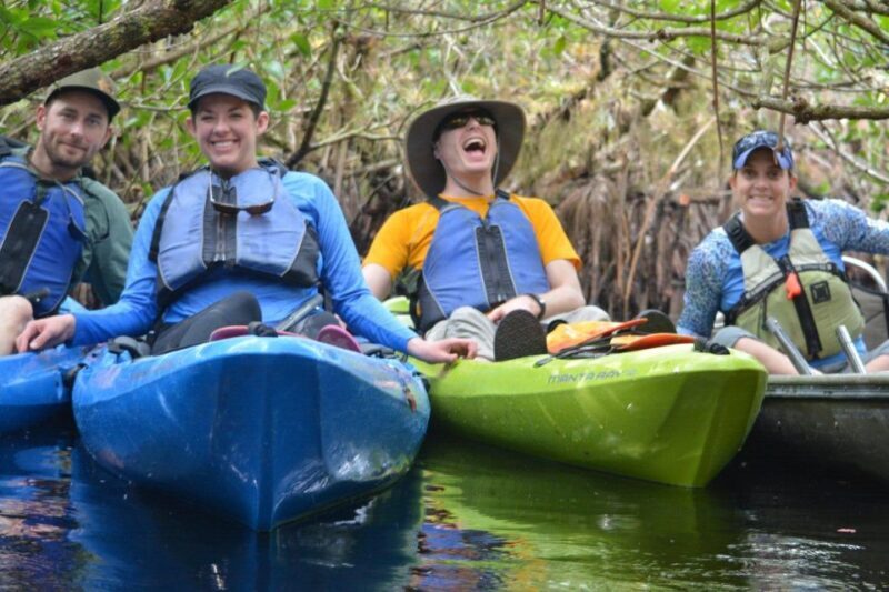 Everglades Kayak Safari Adventure Through Mangrove Tunnels - The Experience on the Water
