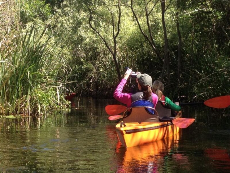 Everglades Kayak Safari Adventure Through Mangrove Tunnels - Authenticity and Personal Touch