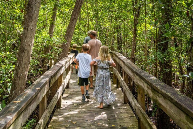 Everglades: Mangrove, Grassland Airboat Tours, & Boardwalk - A Genuine Look at the Everglades Adventure