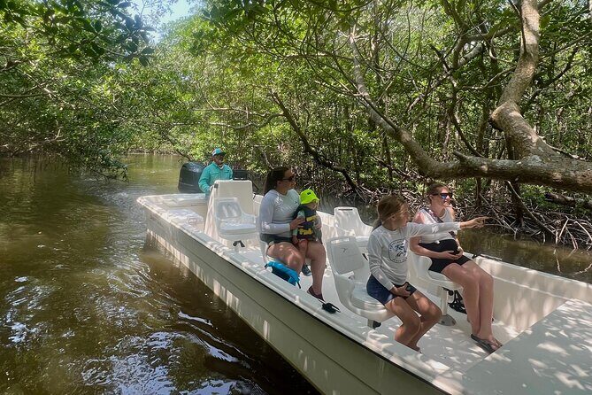 Everglades Mangrove Wilderness Boat Tour - Exploring the Everglades Mangrove Wilderness Boat Tour in Detail