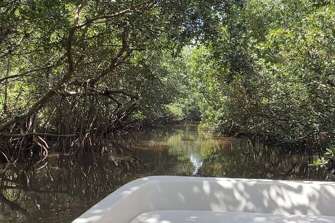 Everglades Mangrove Wilderness Boat Tour - FAQs