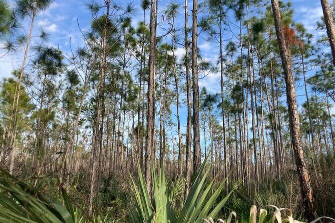 Everglades National Park: 3 Hikes + 90 minute Boat Tour + Lunch - Who Will Appreciate This Tour?