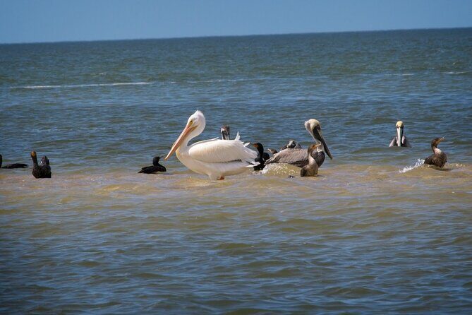 Everglades National Park: 3 Hikes + 90 minute Boat Tour + Lunch - FAQs