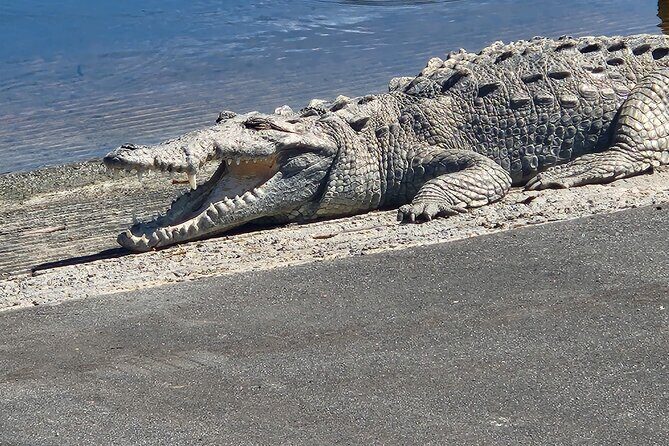 Everglades National Park: 3 Hikes + 90 minute Boat Tour + Lunch - Why This Tour Offers Great Value