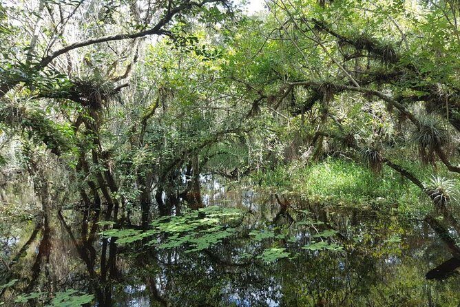 Everglades National Park Biologist Led Adventure: Cruise, Hike + Airboat - The Authentic Value of This Tour