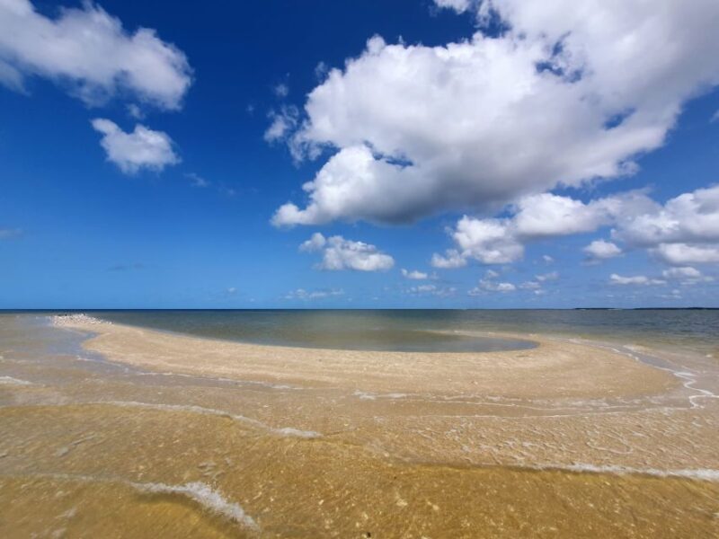 Everglades National Park: Motorboat Eco Tour - FAQ