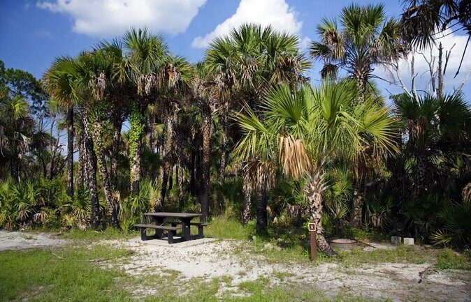 Everglades National Park Naturalist Led Hike, 2 Boat Trips + More - Key Points