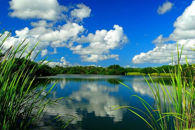 Everglades National Park Self-Guided Audio Tour - Who is This Tour Best For?