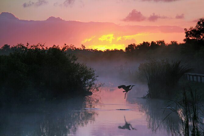 Everglades National Park Self Guided Driving Audio Tour - Key Points