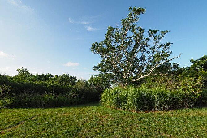 Everglades National Park Self Guided Driving Audio Tour - Who Will Benefit Most?