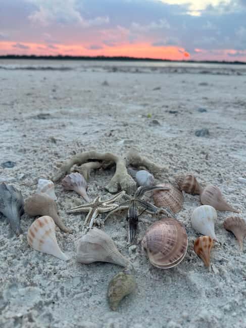 Everglades Pirate and Beach Adventure - Final Thoughts