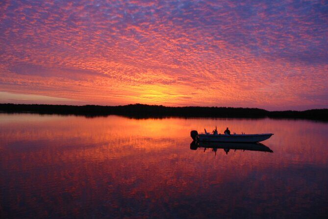 Everglades Small Group Guided Boating and Walking Expedition - An In-Depth Look at the Everglades Small Group Tour