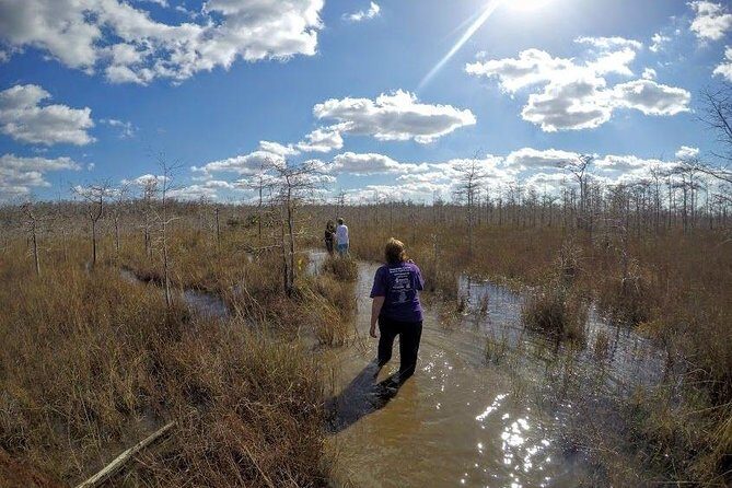 Everglades Tour w/ Biologist Led WET walk + 2 Boat Trips + Lunch! - Key Points