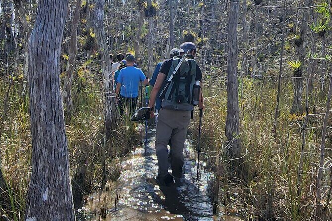 Everglades Tour w/ Biologist Led WET walk + 2 Boat Trips + Lunch! - Frequently Asked Questions