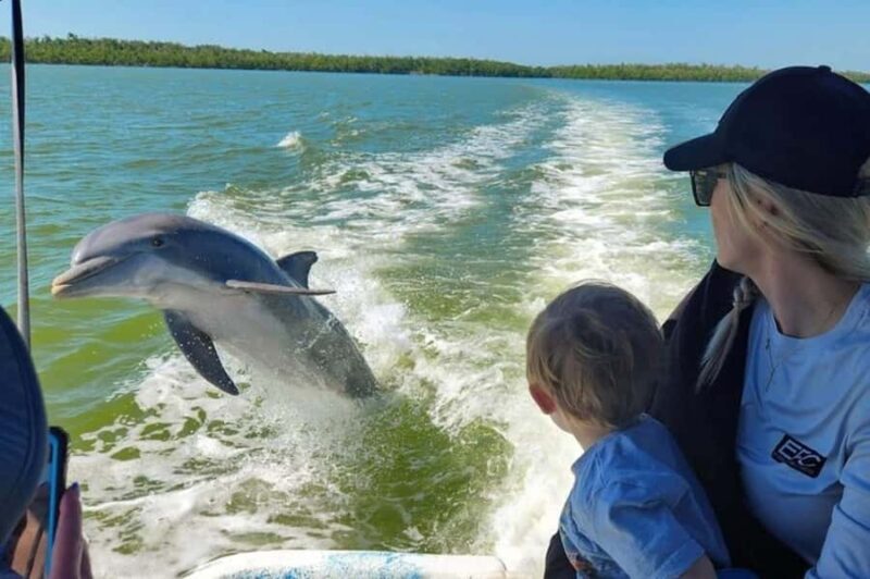 Everglades Tour with 2 Boat Rides, Hike and Lunch - Exploring the Heart of the Everglades: A Detailed Journey