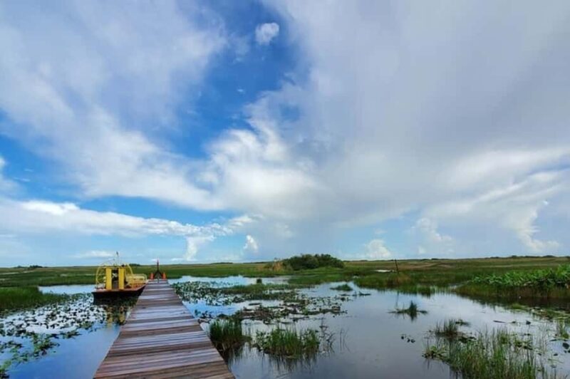 Everglades Tour with 2 Boat Rides, Hike and Lunch - The Value of this Everglades Experience