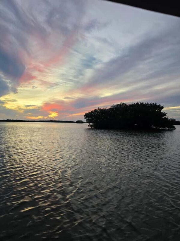 Everglades Tour with 2 Boat Rides, Hike and Lunch - FAQ